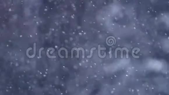 落下真正的雪花平静的雪冰霜广角孤立的视频的预览图