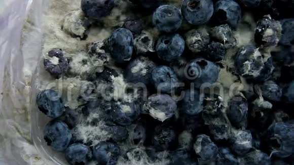 蓝莓入模过期日期概念危害健康的食物视频的预览图