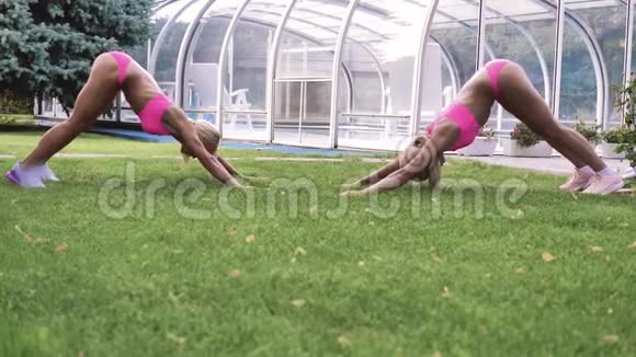 两个金发女郎双胞胎姐妹在绿草上做体育锻炼穿着粉红色的泳衣背景是一个室内游泳池夏天的阳光视频的预览图