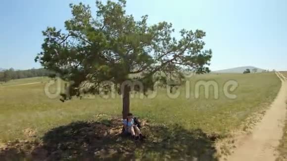 女孩坐在一棵树下在乡村道路附近的田野里画画空中景观视频的预览图