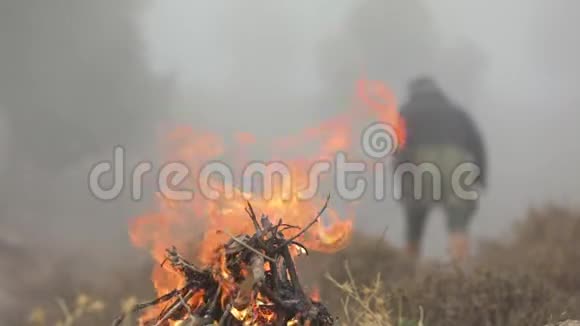 在火边的人森林里的篝火视频的预览图