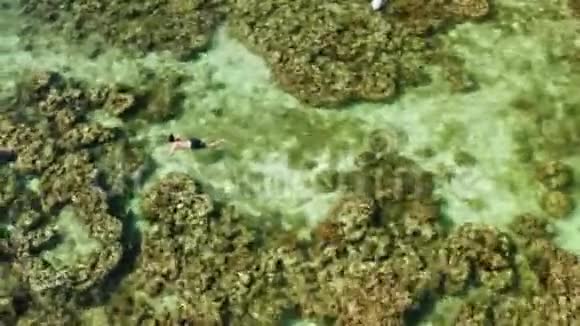 游客浮潜在泻湖菲律宾厄尔尼诺视频的预览图