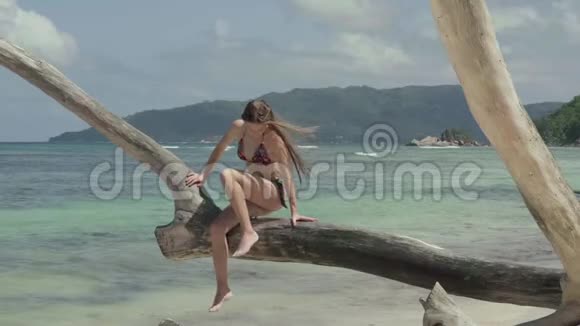 塞舌尔普拉斯林岛这位苗条迷人的年轻女子坐在沙滩上的树干上视频的预览图