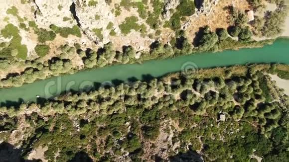 空中美丽的绿色绿洲岩石峡谷中有棕榈树视频的预览图