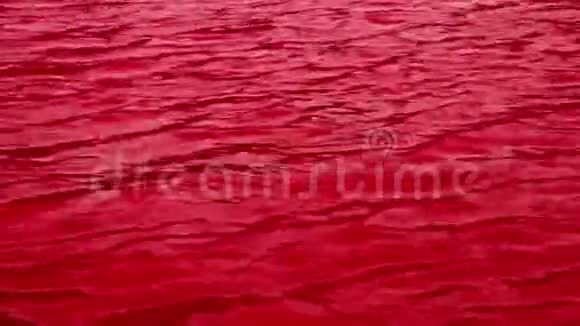 水在血液中流动抽象的背景视频的预览图