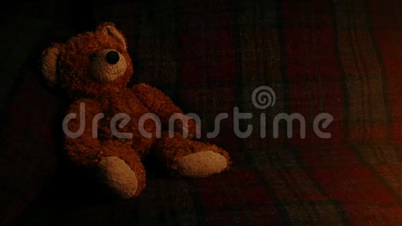 在火光中泰迪在沙发上视频的预览图