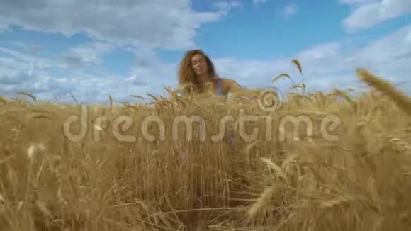 女孩坐在麦田里小心翼翼地拥抱麦穗视频的预览图