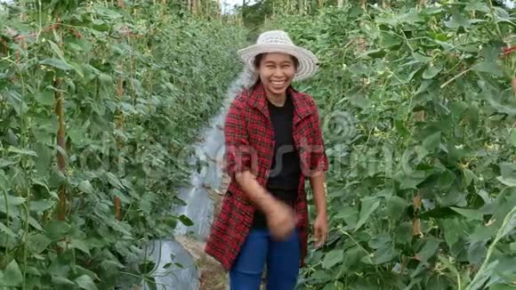 快乐的园丁们在农田里跳舞微笑着对着镜头农业和种植理念视频的预览图