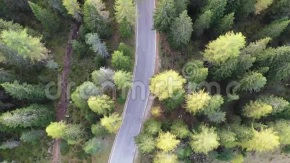 山路蜿蜒曲折意大利多洛米斯秋山的空中镜头意大利阿尔卑斯山多洛米斯的蛇形公路视频的预览图