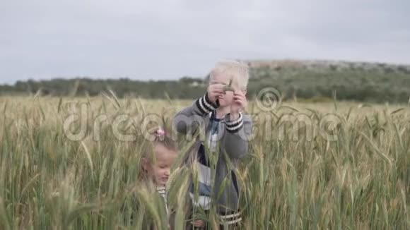 孩子们在田里玩小麦小穗视频的预览图