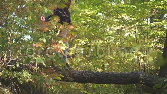 活跃的人冒险攀登无忧无虑森林里的秋人在公园里远足室外秋季大气视频的预览图