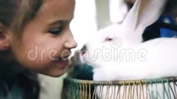 小女孩抚摸兔子笑了视频的预览图