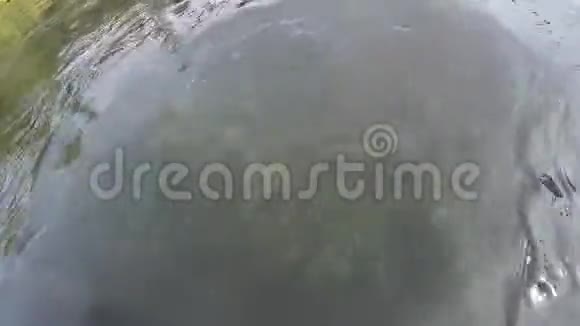 在喀拉拉河的水下绿色的苔藓在上面流动视频的预览图