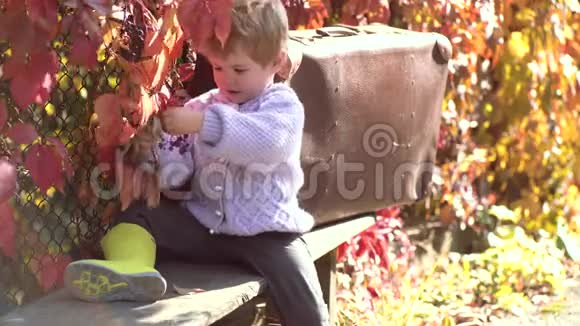落叶可爱的孩子坐在公园里秋天的落叶上孩子们在秋天公园玩可爱的快乐宝贝视频的预览图