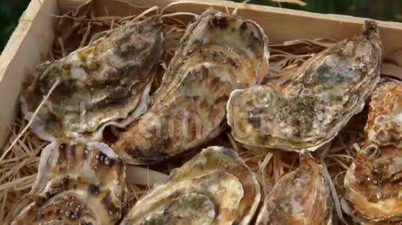 新鲜的牡蛎放在刨花的木箱里视频的预览图