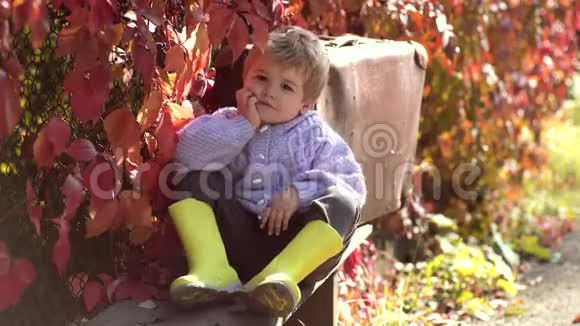 快乐的孩子在秋叶背景下在户外笑可爱的孩子在秋天公园玩得很开心在秋天等待视频的预览图