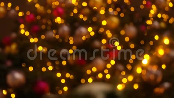 合上一盏圣诞树灯夜光闪闪许多灯在枞树新年和圣诞树装饰美丽的C视频的预览图