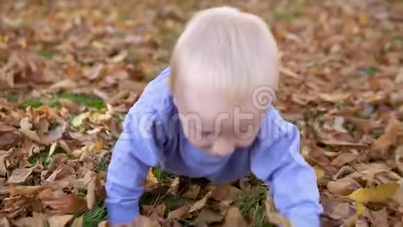 快乐的宝宝在公园里的五颜六色的秋叶上爬行视频的预览图