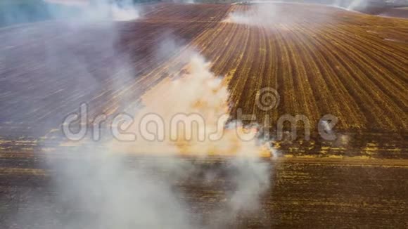 从无人驾驶飞机上看到收获后在玉米地开火视频的预览图