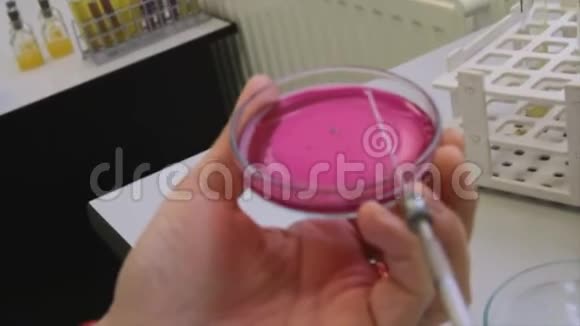 一位科学家在实验室里把样品放入培养皿中视频的预览图