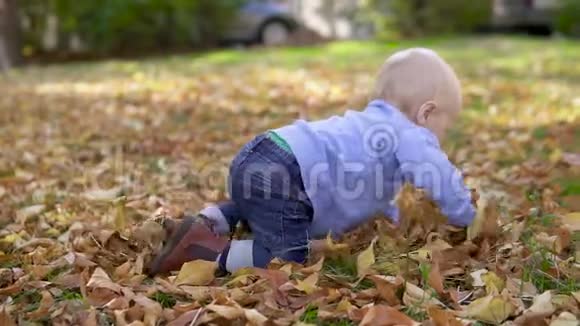 快乐的宝宝在公园里的五颜六色的秋叶上爬行视频的预览图