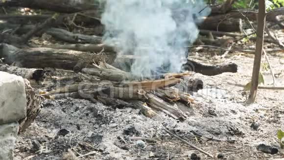 柴火在篝火旁吸烟视频的预览图