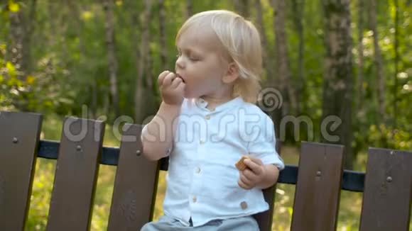 滑稽幼儿吃饼干的肖像画视频的预览图