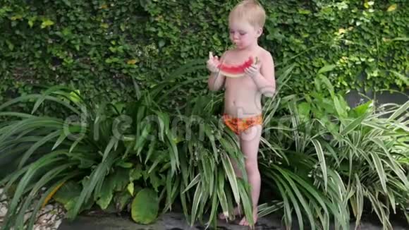 男孩夏天在院子里吃西瓜小孩在度假时吃水果视频的预览图