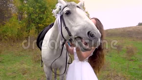 新娘穿着白色连衣裙喂食和抚摸马关门视频的预览图