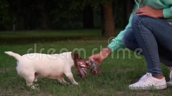时髦的女士在公园里玩小狗玩具视频的预览图
