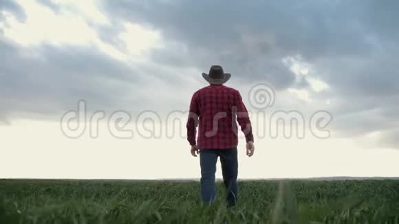 日落时分一个农夫走过田野农艺师检查地上种植的农产品方式视频的预览图