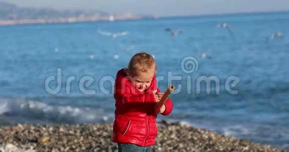在沙滩上玩竹棍的男孩视频的预览图