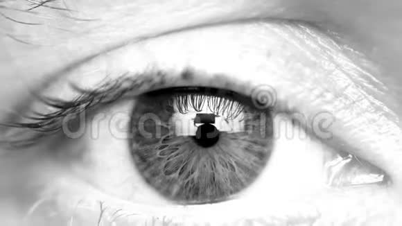 雄性眼睛的宏观特写视频的预览图