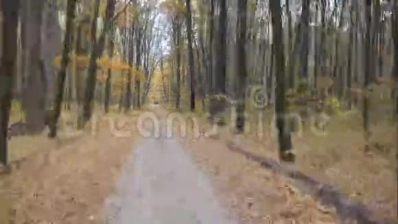 秋季森林道路交通时间的推移视频的预览图
