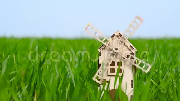 麦地绿草上的一种小型木制装饰磨坊它的螺旋桨是由视频的预览图