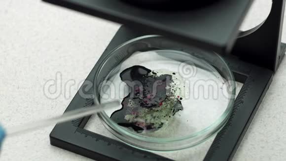 女性医学研究科学家在培养皿中加入一种有色液体视频的预览图