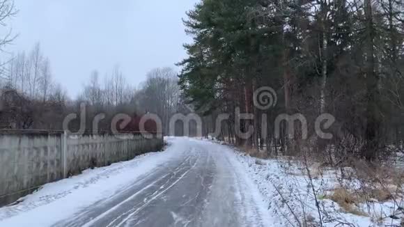 俄罗斯的冬天暴风雪席卷而来在冬天的森林里扫过沥青路下雪了松林暮光之城4K视频的预览图