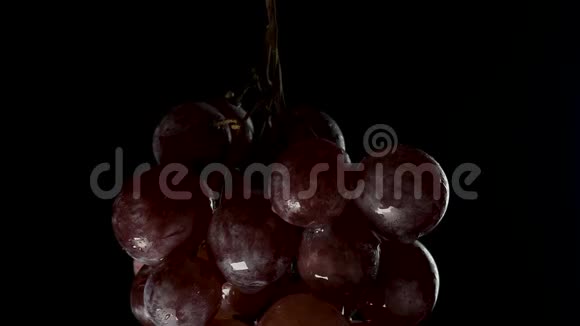 一串葡萄悬浮在黑暗中的浆果上翻滚着一滴水视频的预览图
