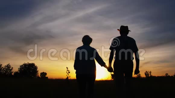 日落时分男人和女人在草地上接吻视频的预览图