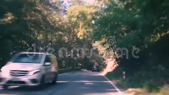 在森林里的山路上进行汽车运动视频的预览图