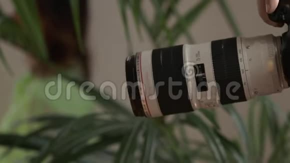 摄影师在绿色植物的背景上用一个大镜头拍照视频的预览图