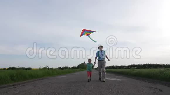 爷爷和孙子一起在户外放风筝视频的预览图