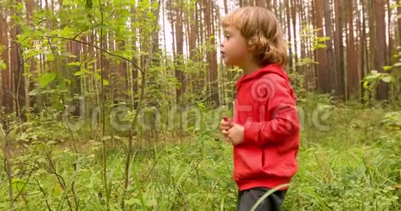 可爱的小男孩在森林里散步视频的预览图