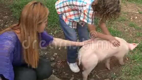 孩子们和猪玩视频的预览图