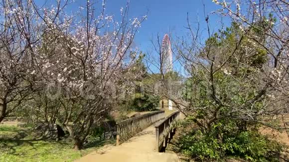 日本东京开赛林凯公园视频的预览图