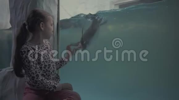 女孩透过海洋馆的玻璃看游泳企鹅视频的预览图