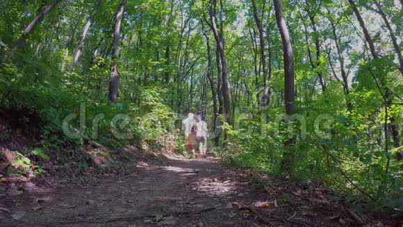 匈牙利春天中年夫妇在海滩森林散步视频的预览图