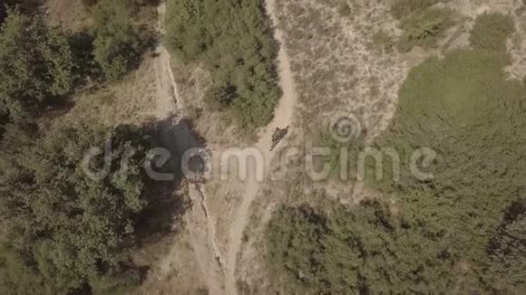 无法辨认的骑自行车的人骑着一辆山地自行车在乡村小径上视频的预览图