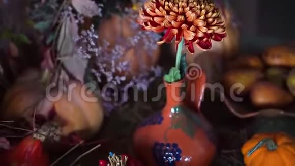 美丽的秋天静物装饰细节与鲜花和南瓜秋天收获安排视频的预览图
