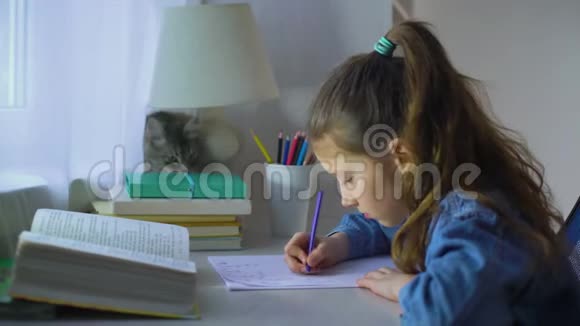 小学女孩做作业她的宠物猫坐在桌子旁边视频的预览图